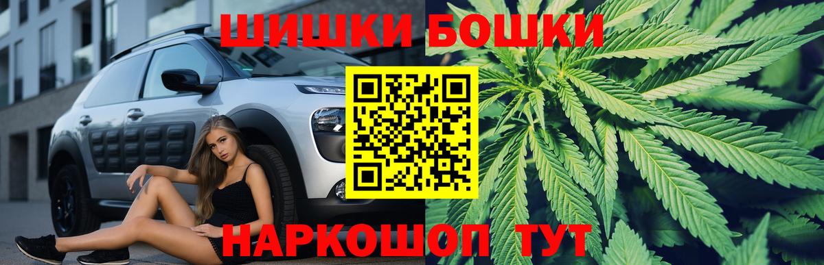 Бошки Шишки сатива  Вход с VPN  Изобильный  Бошки Шишки White Widow 